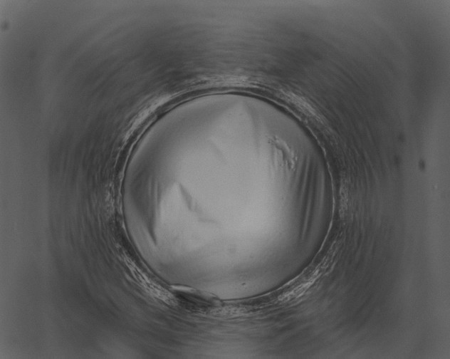 X0000062641212200601111117