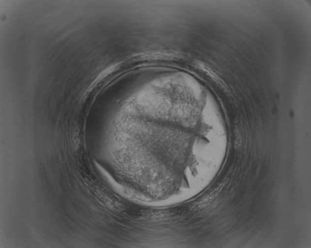 X0000062641213200601111117