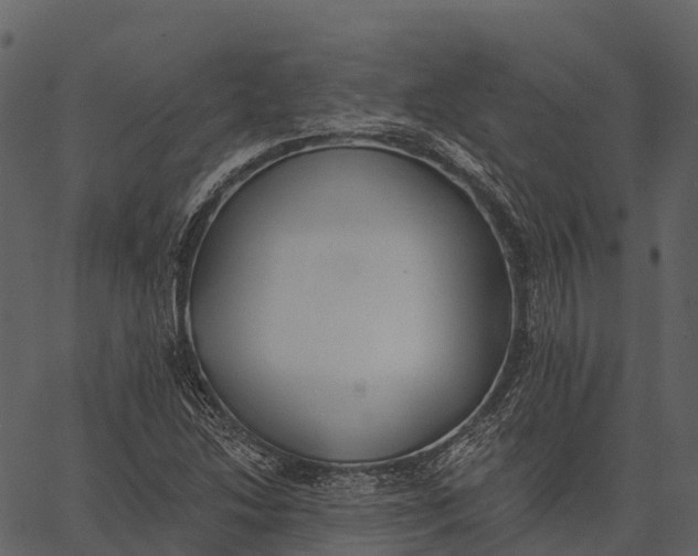 X0000062641214200601111117