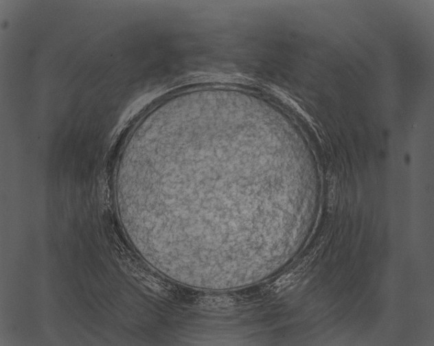 X0000062641215200601111117