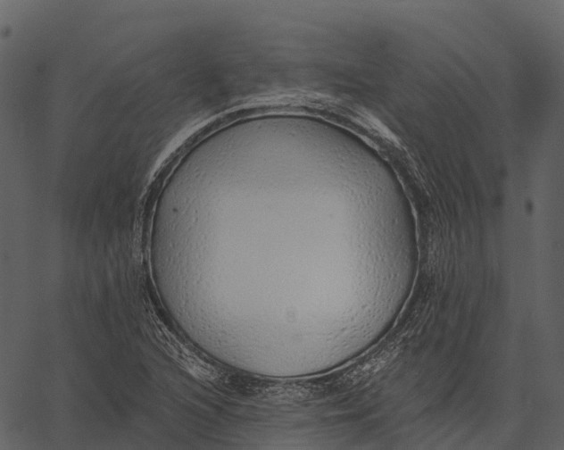 X0000062641216200601111117