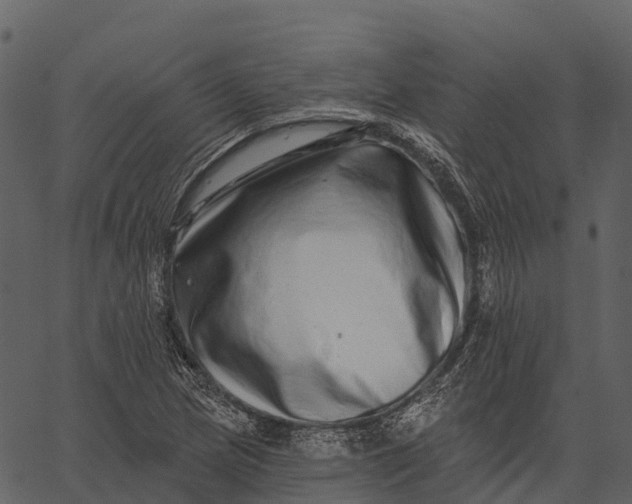 X0000062641217200601111117