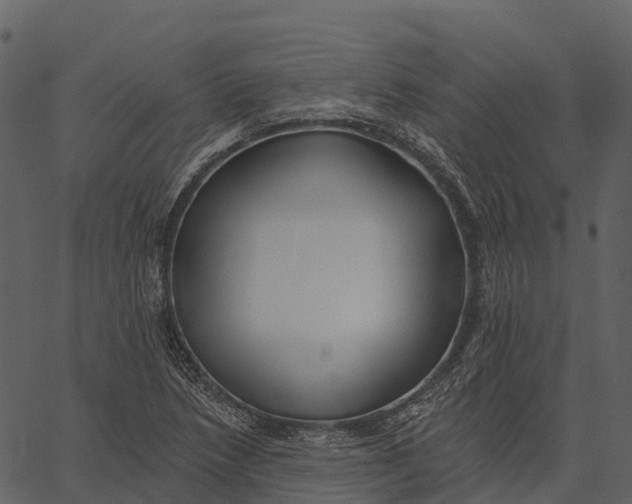 X0000062641218200601111117