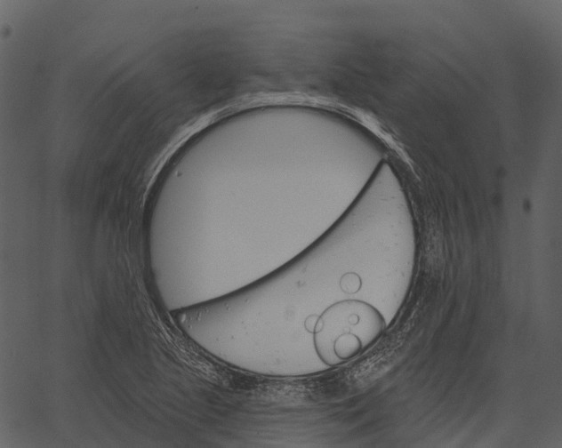 X0000062641221200601111117