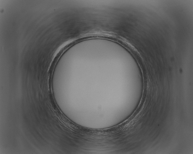 X0000062641222200601111117