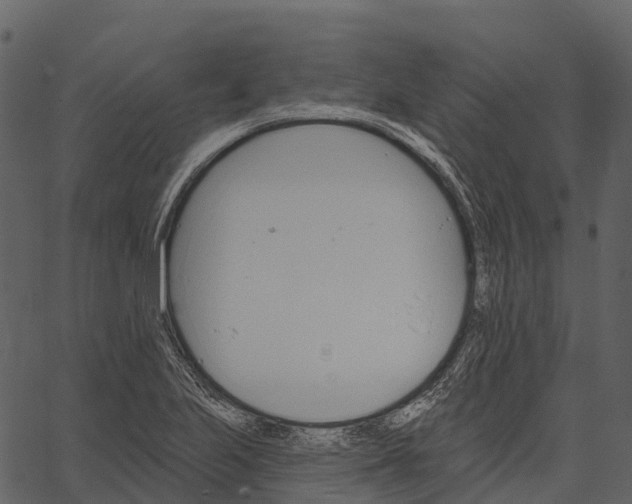 X0000062641223200601111117