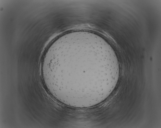 X0000062641224200601111117