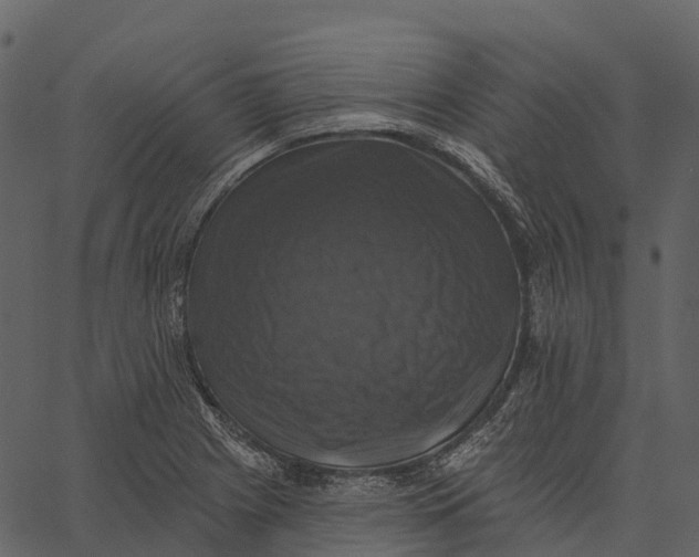 X0000062641225200601111117