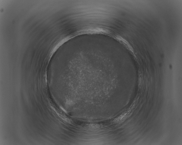 X0000062641226200601111117