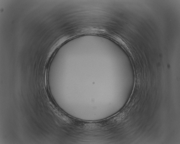 X0000062641227200601111117