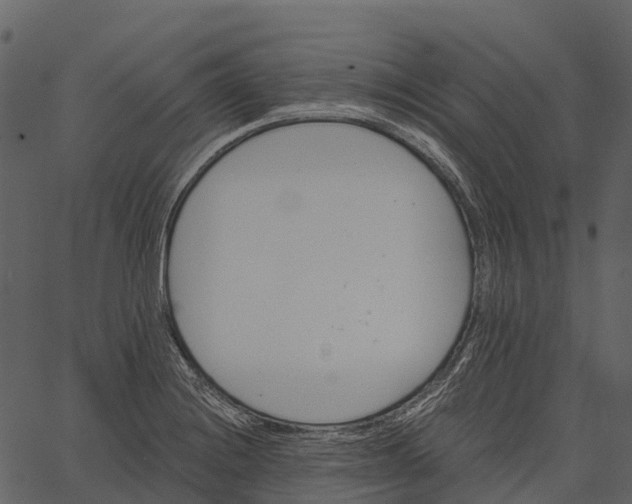 X0000062641228200601111117