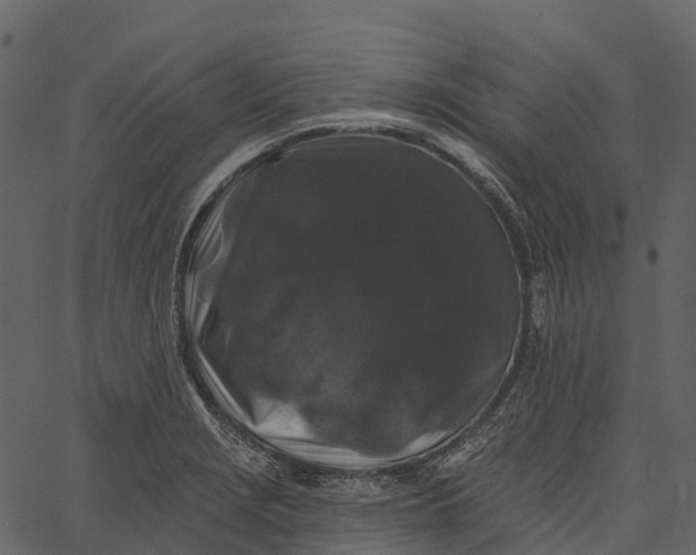 X0000062641229200601111117