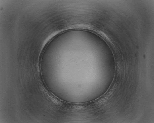 X0000062641230200601111117