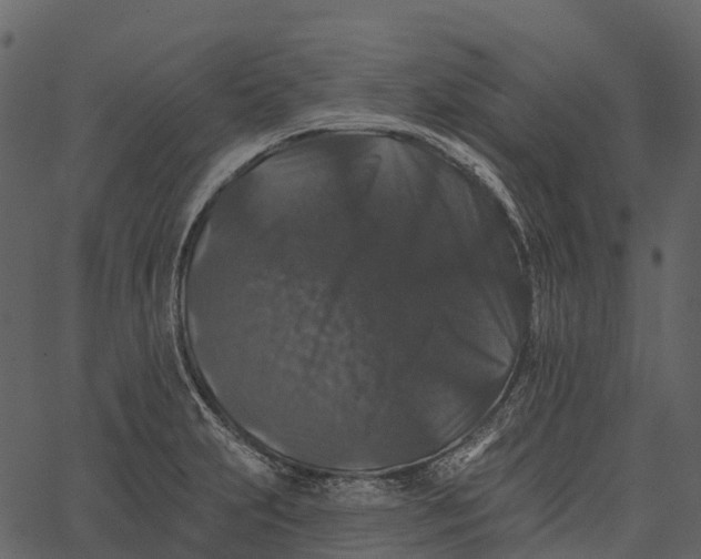 X0000062641231200601111117