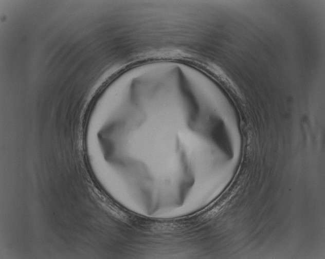 X0000062641232200601111117