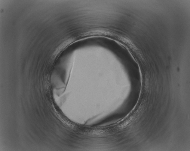 X0000062641233200601111117