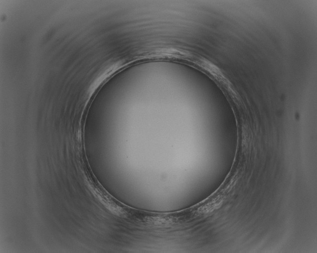 X0000062641234200601111117