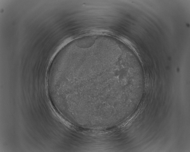 X0000062641235200601111117