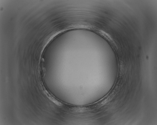 X0000062641236200601111117