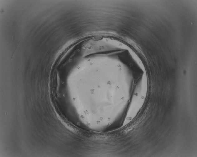 X0000062641237200601111117