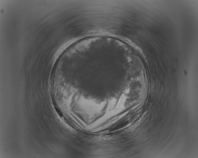 X0000062641239200601111117