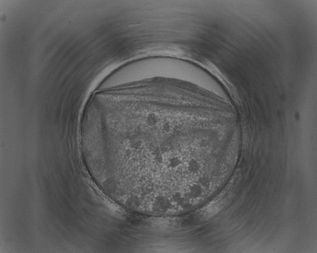 X0000062641240200601111117