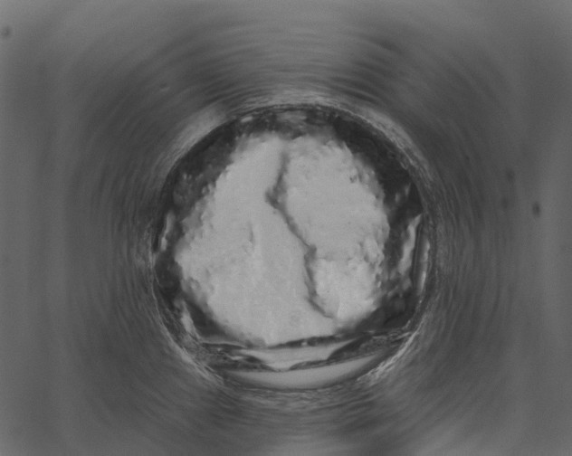 X0000062641241200601111117