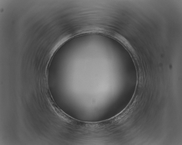 X0000062641242200601111117