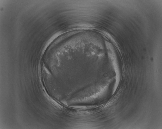 X0000062641243200601111117