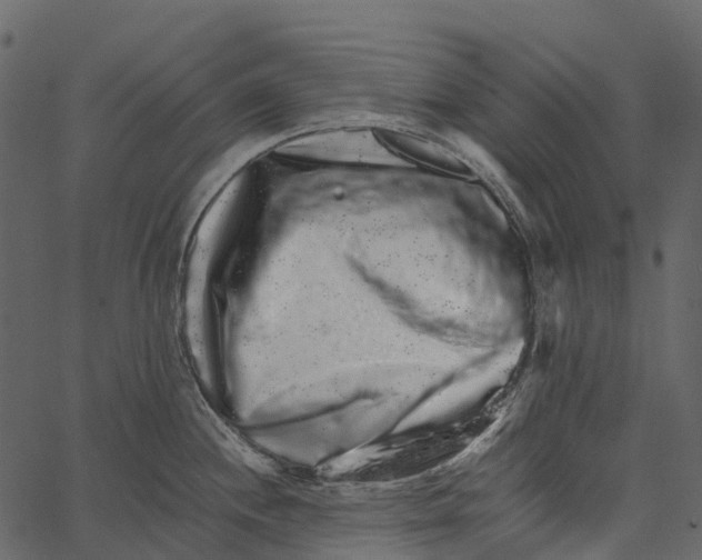 X0000062641244200601111117