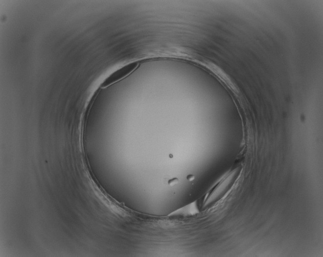 X0000062641246200601111117