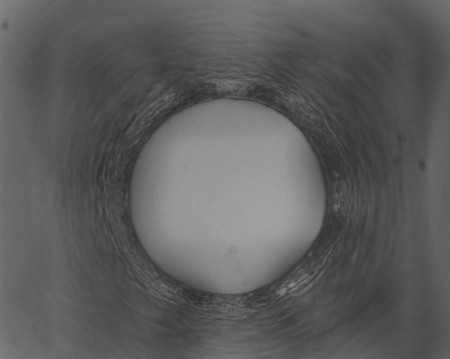 X0000062641249200601111117