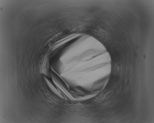 X0000062641250200601111117