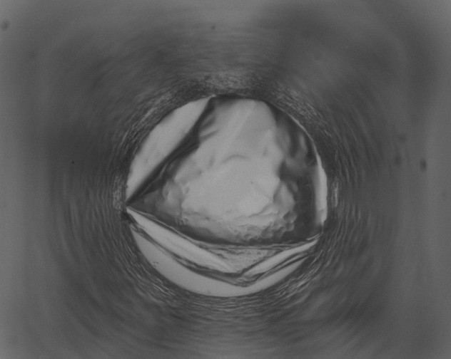 X0000062641251200601111117