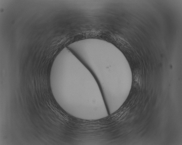 X0000062641252200601111117