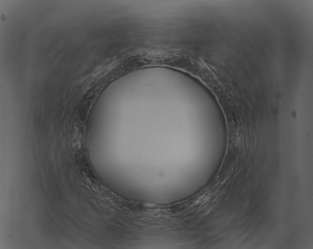 X0000062641253200601111117