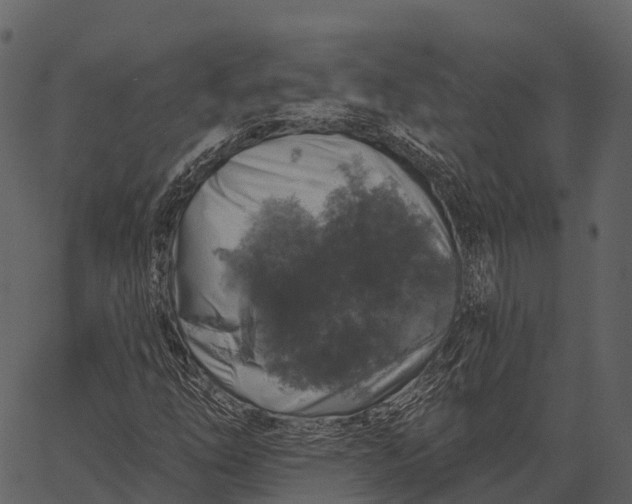 X0000062641254200601111117