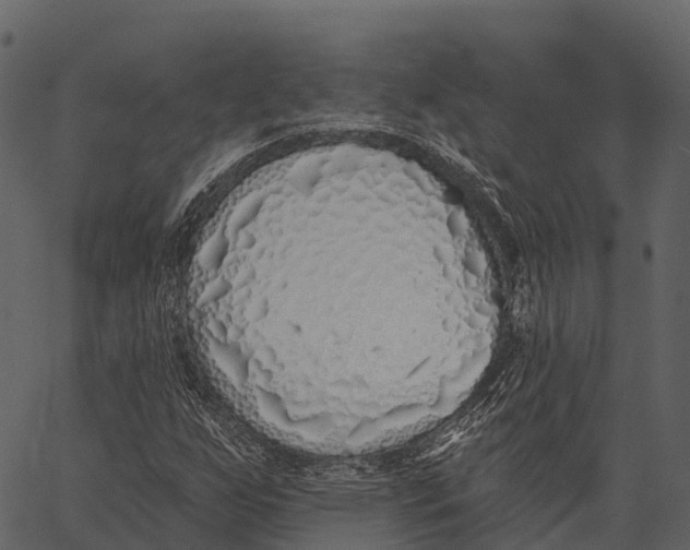 X0000062641255200601111117