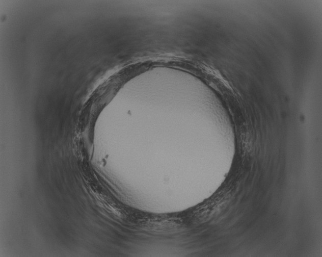 X0000062641256200601111117