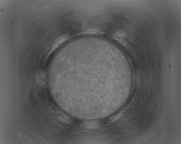 X0000062641258200601111117