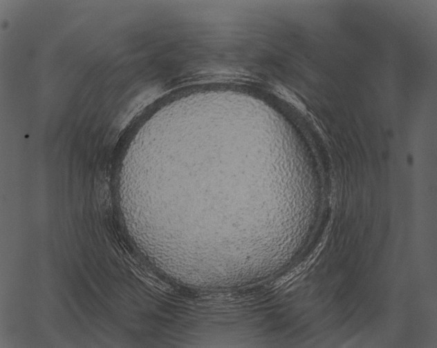 X0000062641259200601111117