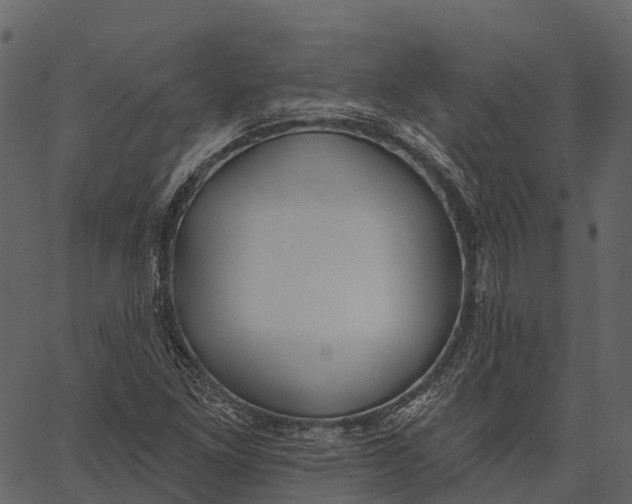 X0000062641261200601111116