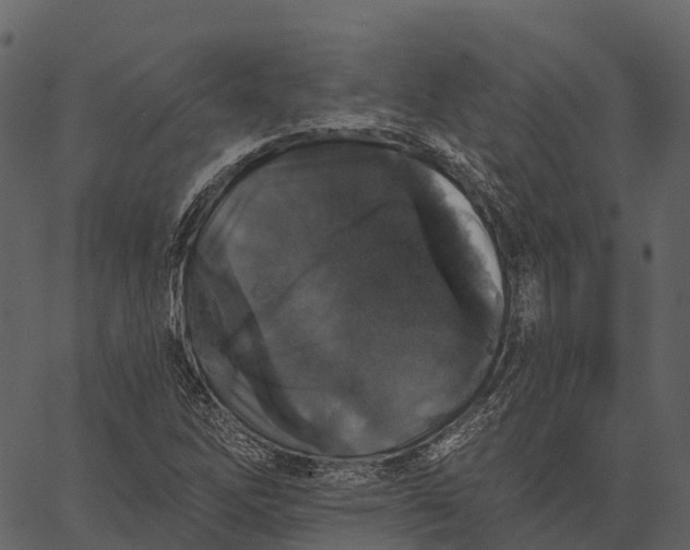 X0000062641262200601111116