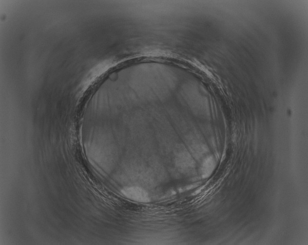 X0000062641263200601111116