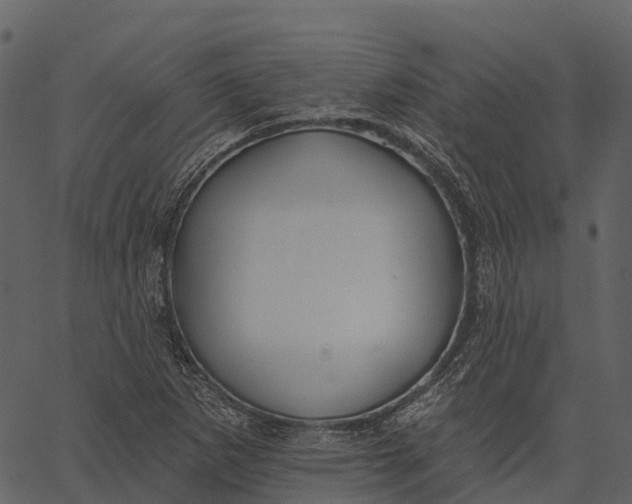 X0000062641265200601111116