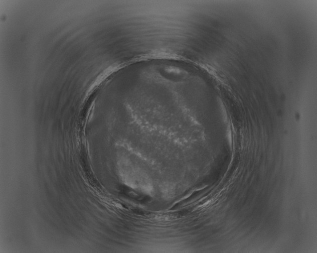 X0000062641266200601111116