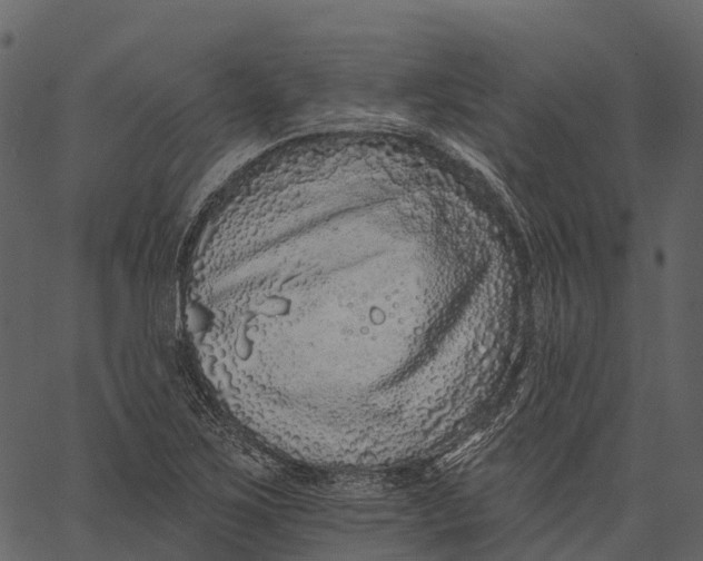 X0000062641267200601111116