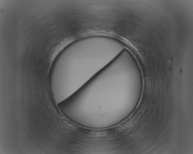 X0000062641269200601111116