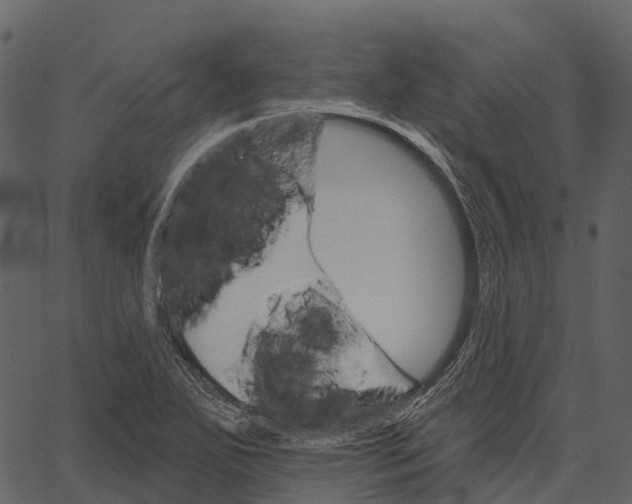 X0000062641271200601111116