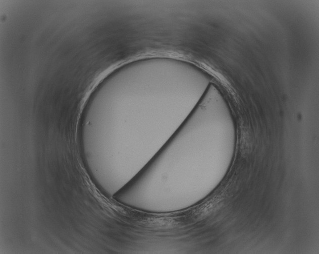 X0000062641272200601111116